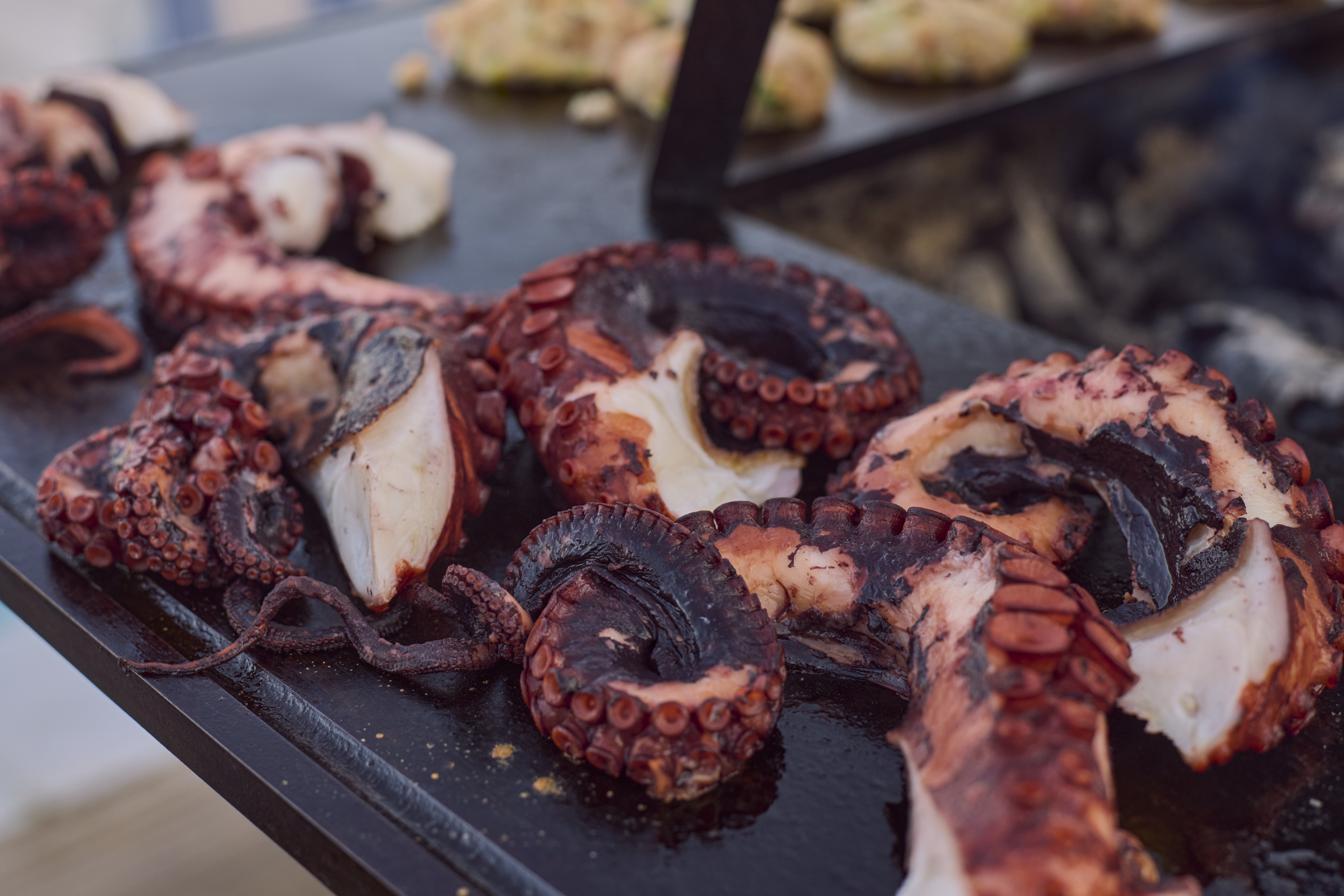 Grilled Octopus