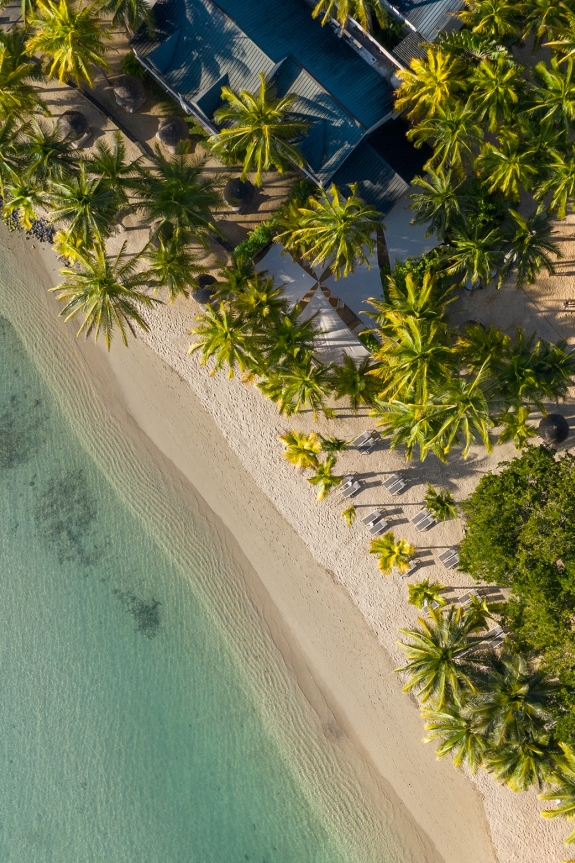 Neilson X The Ravenala Attitude