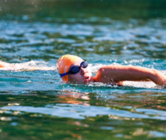 swim