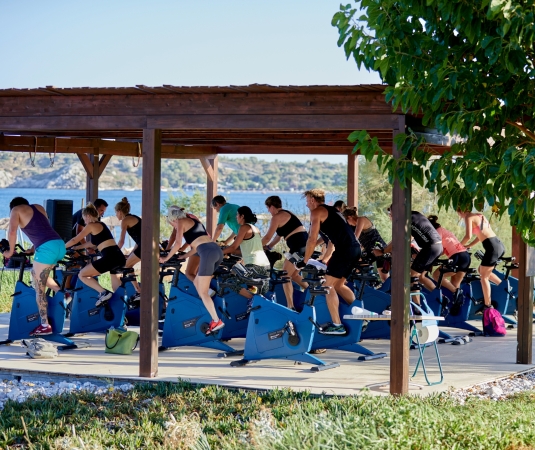 outdoor fitness platform,