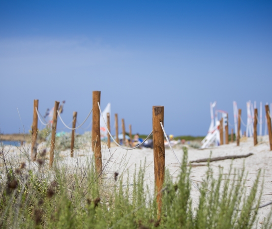 BDM beach