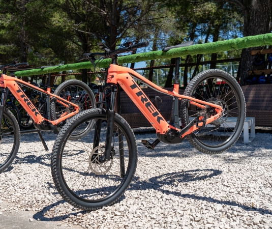Alana ebikes