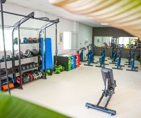 fitness