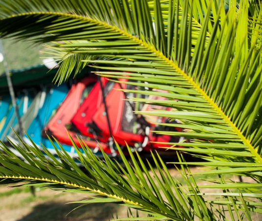 windsurf