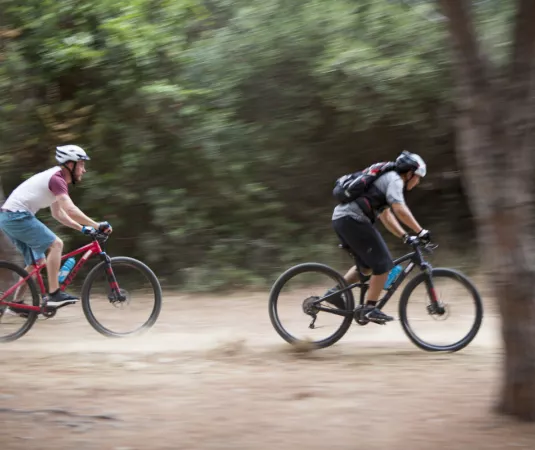 mountain biking with neilson
