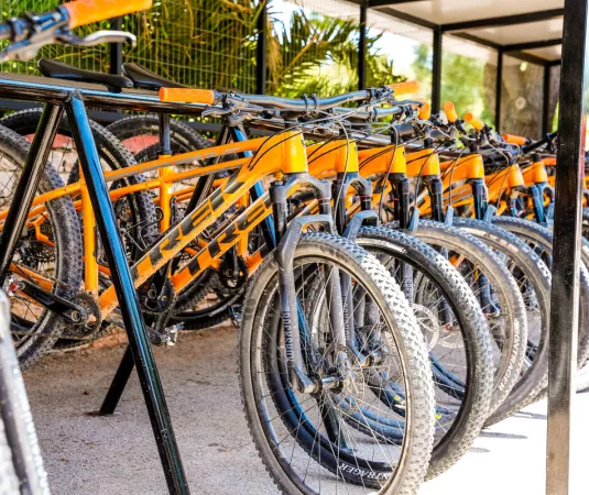 Our mountain bikes