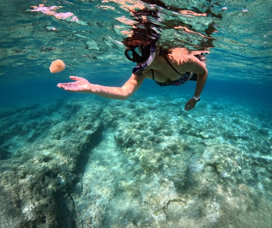 snorkelling