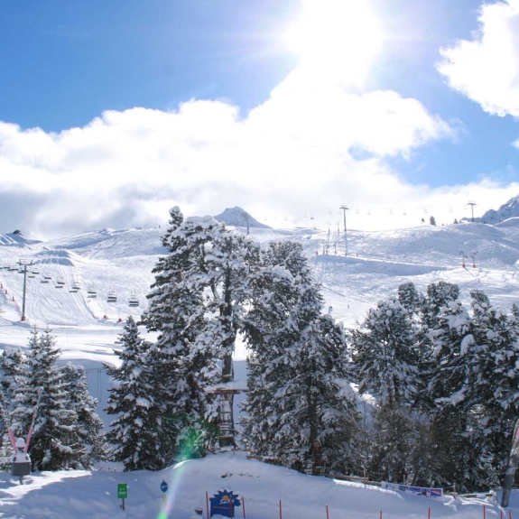 Views from the hotel