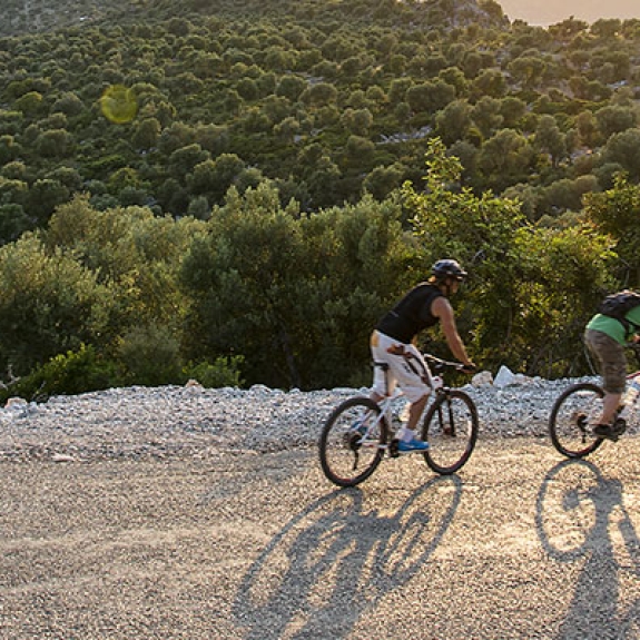 group of people mountain biking at sunset