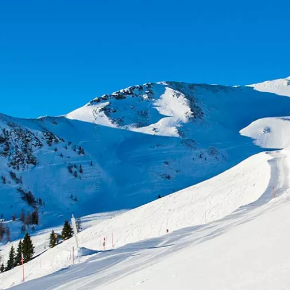 skier