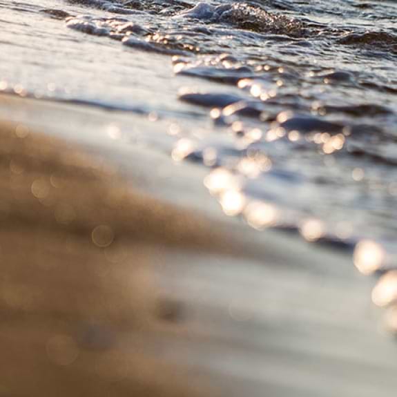 close up of beach and shoreline
