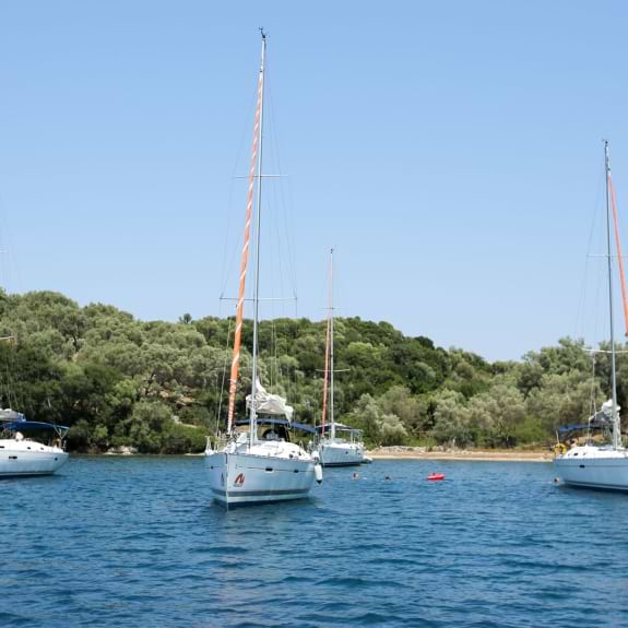 Yachts moored in a bay