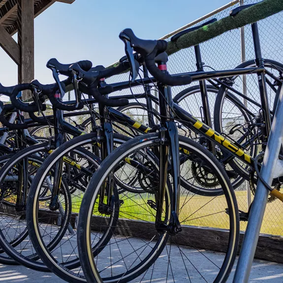 Trek Bikes on rack