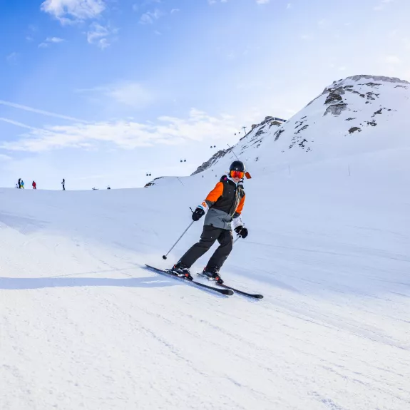 neilson mountain experts