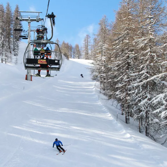 Tree lined slope