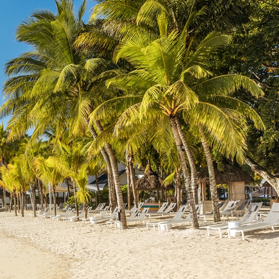 Neilson x The Ravenala Attitude