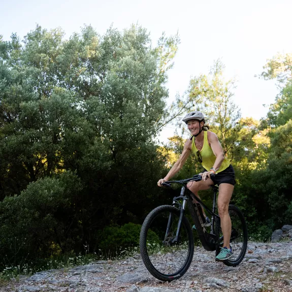 Ebikes