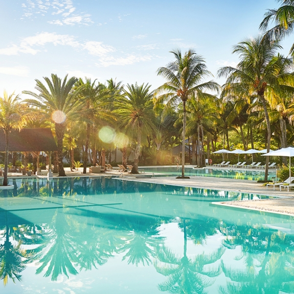 Neilson x The Ravenala Attitude