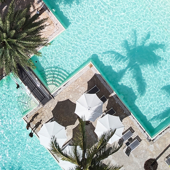 Neilson x The Ravenala Attitude