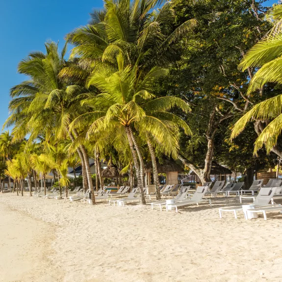 Beach at Neilson | The Ravenala Attitude