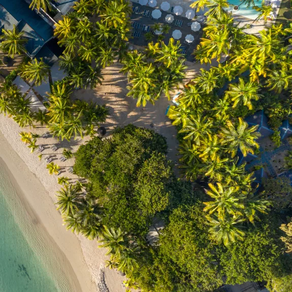 Beach at Neilson | The Ravenala Attitude