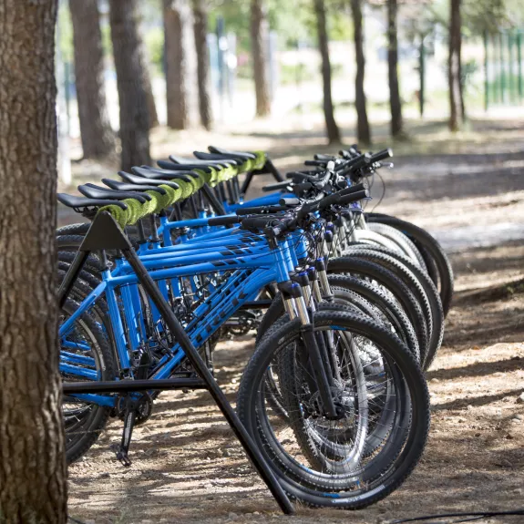 Bikes at Alana Beach Club