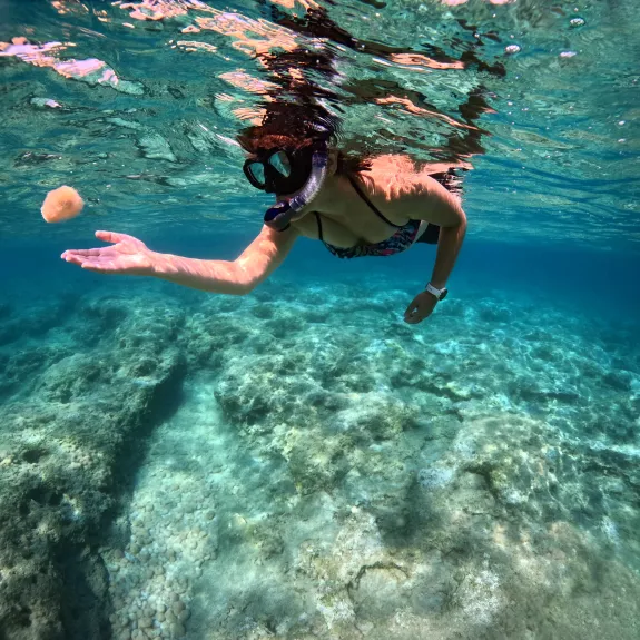 Reef snorkelling at Neilson | The Ravenala Attitude