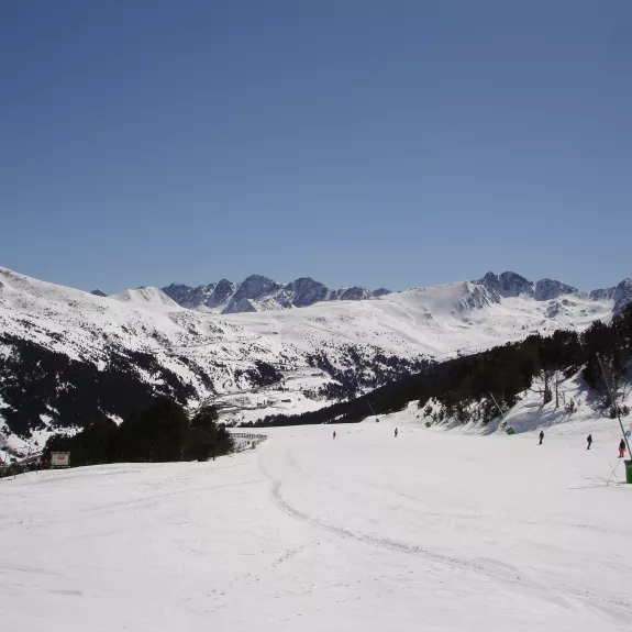 Wide pistes
