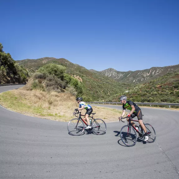Road cycling holidays