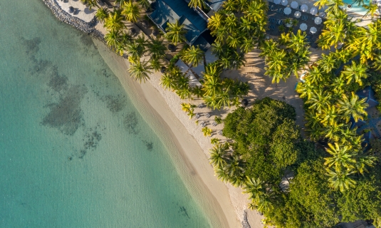 Neilson x The Ravenala Attitude