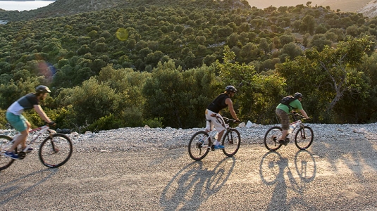 group of people mountain biking at sunset