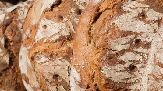 Loaves of bread