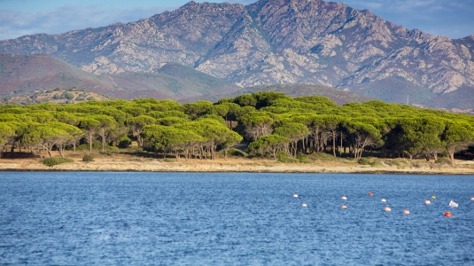Baia dei Mori Beach
