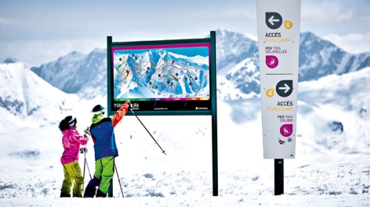 Frozen leaves and branches on a snow-covered mountain