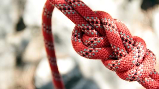 Figure of eight knot