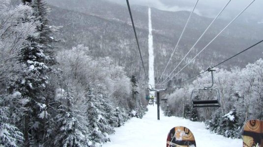 A skilift over a snow-covered forest