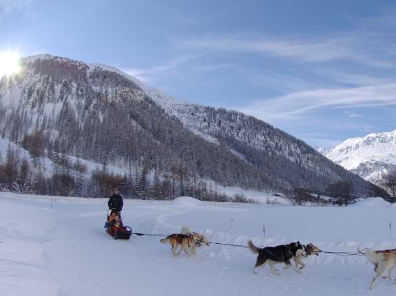 husky rides in val d isere