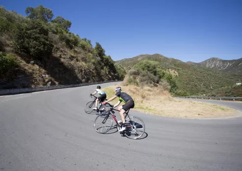 BDM road cycling