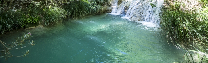 Stenosia River Trail