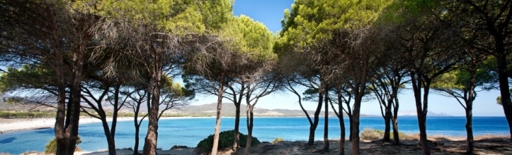 Budoni beach