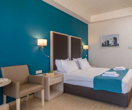 Double or twin room