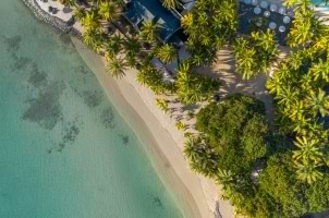 Neilson x The Ravenala Attitude