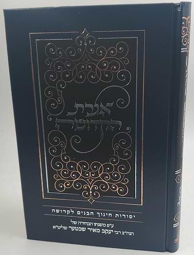 אגרת הקדושה - יסודות חינוך הבנים לקדושה / רבי יעקב מאיר שכטער שליט''א