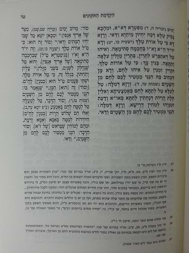 תיקונים חדשים לרמח