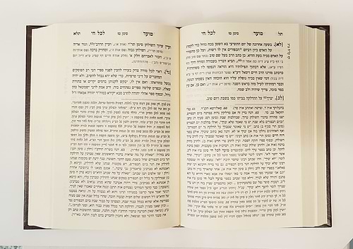 מועד לכל חי רבי חיים פלאג'י שובי נפשי