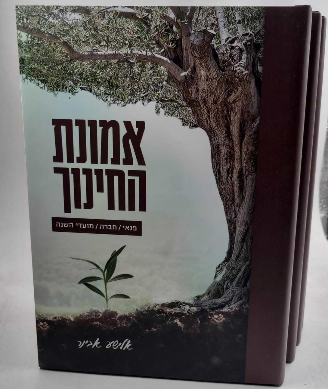 אמונת החינוך ד