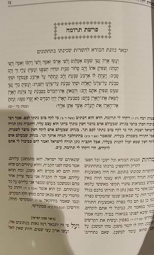 מנחת יהודה - על התורה / אהבת שלום