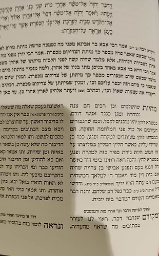 מנחת יהודה - על התורה / אהבת שלום