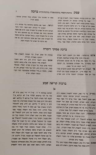 עמק ברכה / ר' אריה פומרנצ'יק זצ''ל