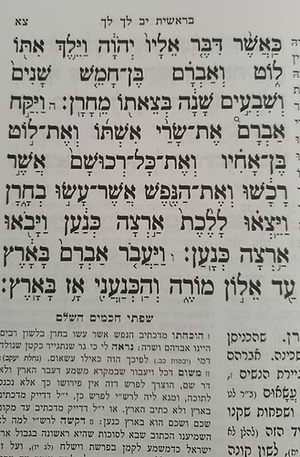 חומש מאור הדרך לתלמידים ה' כרכים / הוצאת המאור 